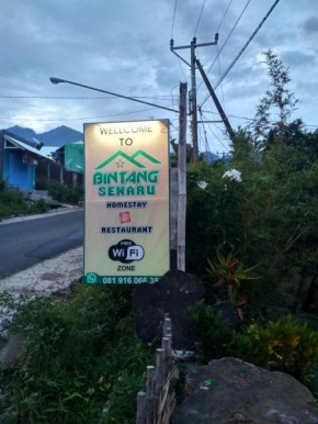 Отель Bintang Senaru Homestay  Bayan